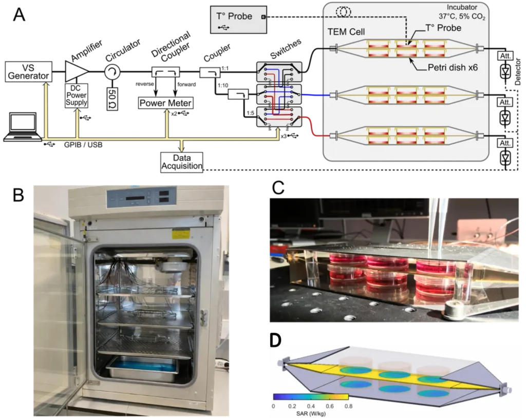 Experiment setup for the Biological effects of 5G-modulated 700 MHz RF-EMF exposure on neuronal and glial cell models under isothermal conditions study